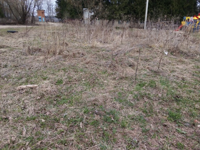 Обустройство спортивной площадки в с. Скоморошки, ул. Молодежная, в районе д.№1, Дубенского района