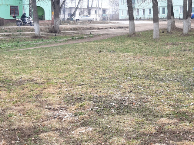 Обустройство спортивной площадки в с.п. Огаревка, ул. 1-Клубная,  в районе дома 14 Щекинского района