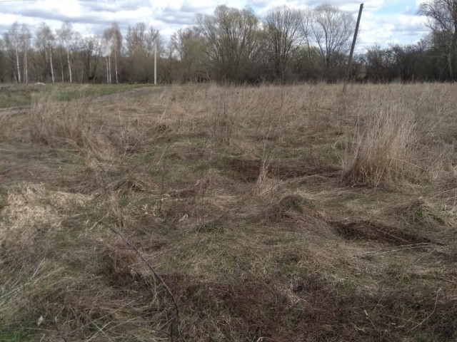 Обустройство спортивной площадки в н.п. Иваново Белевского района