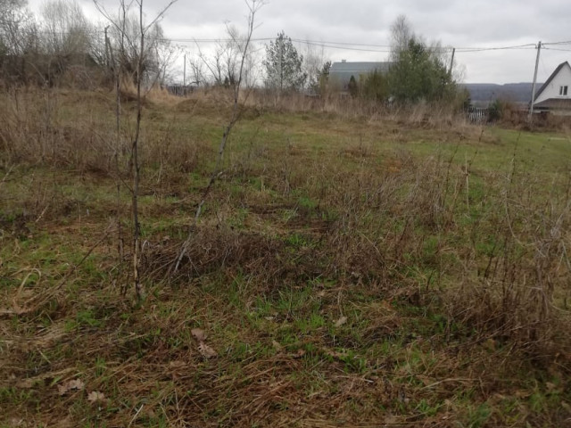 село Першино, ул. Дружбы, Алексинского района