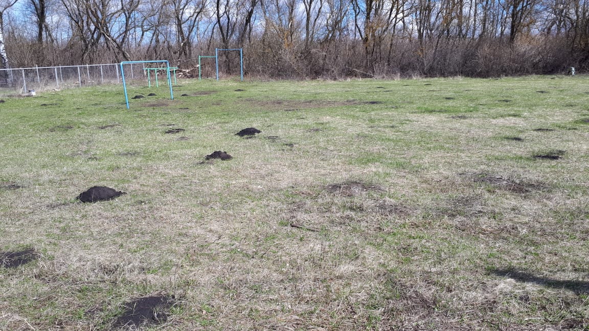 Обустройство спортивной площадки в селе Языково на улице Центральная Каменского района