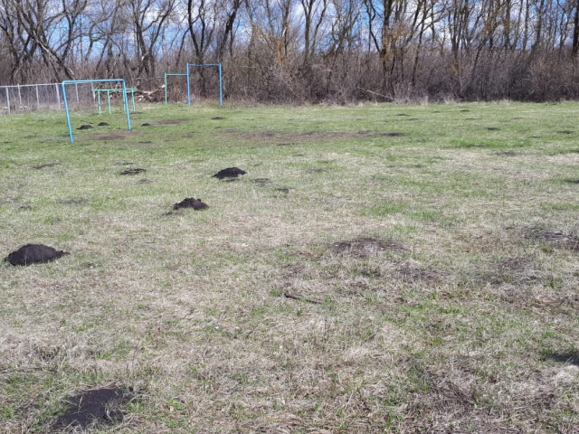 Обустройство спортивной площадки в селе Языково на улице Центральная Каменского района
