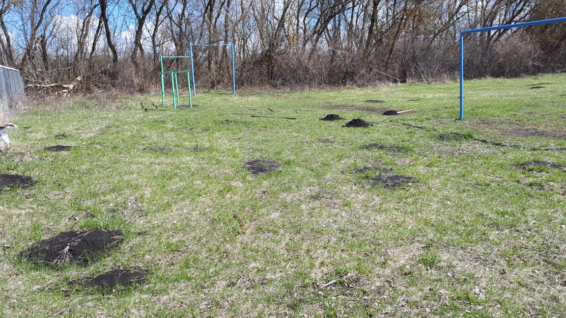 Обустройство спортивной площадки в селе Языково на улице Центральная Каменского района
