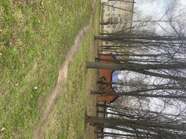 Обустройство спортивной площадки в Тульская область, Киреевский район, г. Липки, ул. Гоголя, д.2Г