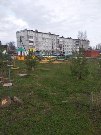 Обустройство детской игровой площадки в п. Арсеньево, ул. Хорева, д. 2 ТОС "Весна"