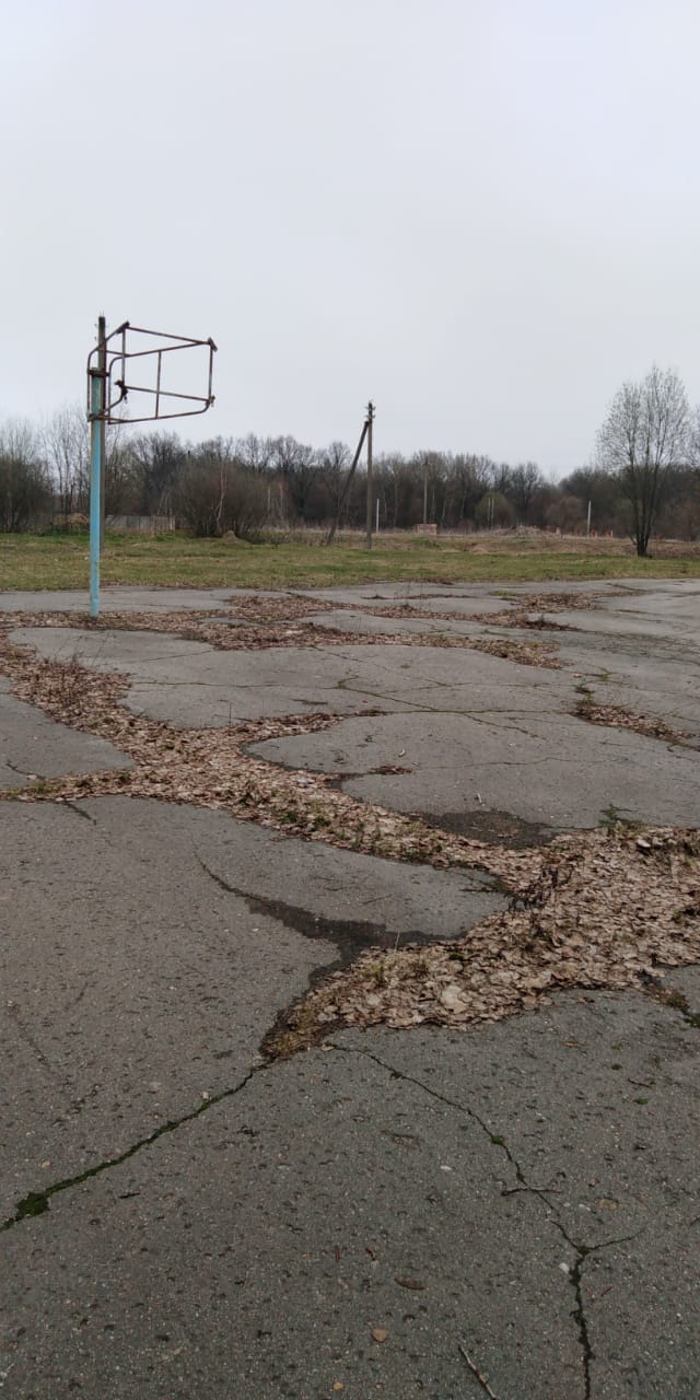 Обустройство спортивной площадки в с.Меркулово,Арсеньевский район