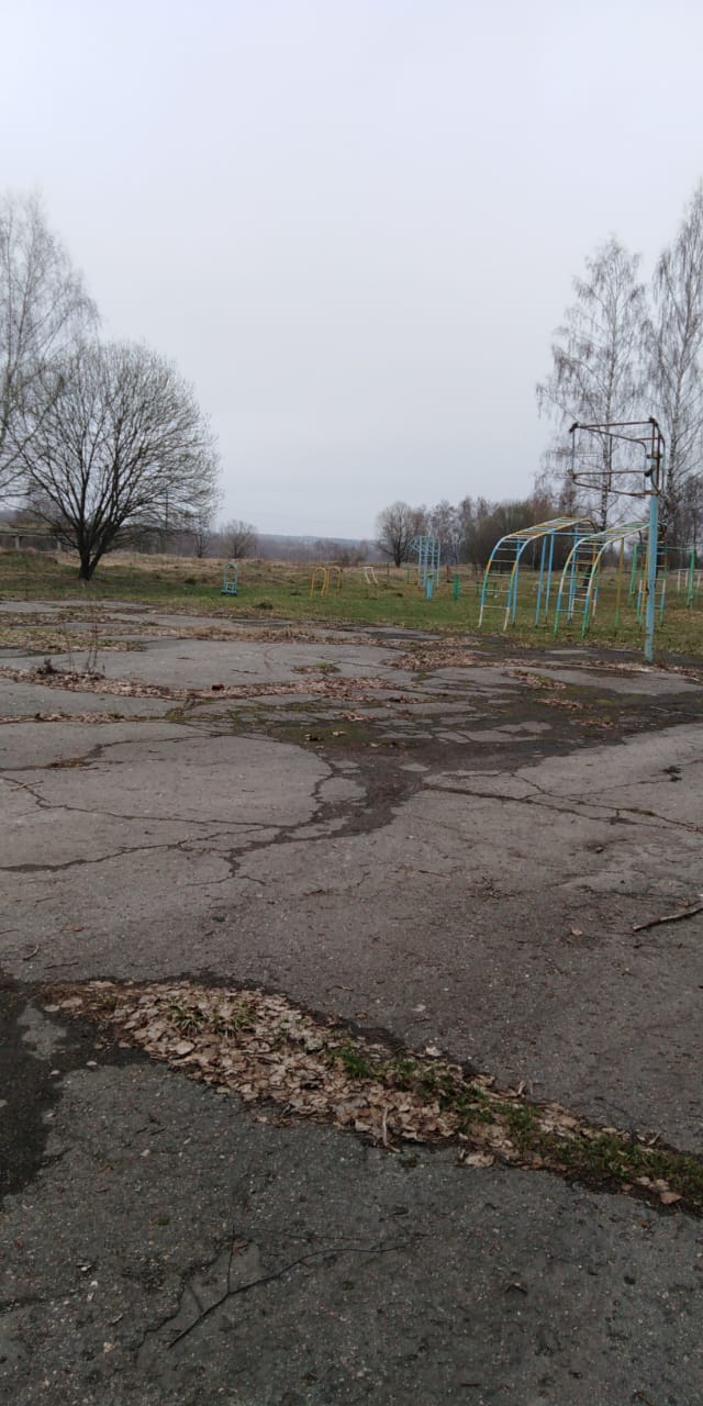 Обустройство спортивной площадки в с.Меркулово,Арсеньевский район