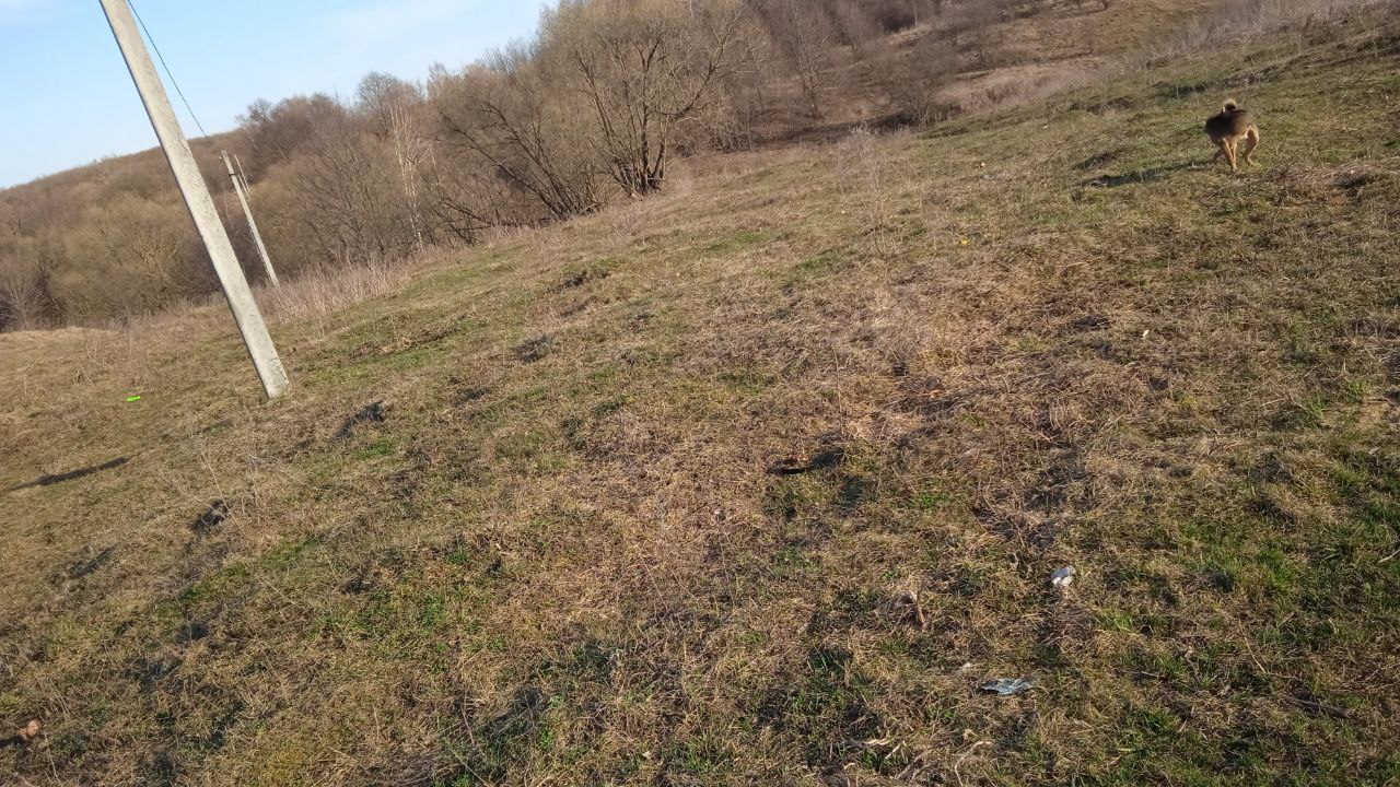 Обустройство детской площадки по адресу: Каменский район, д. Долгие Лески, напротив дома № 1а