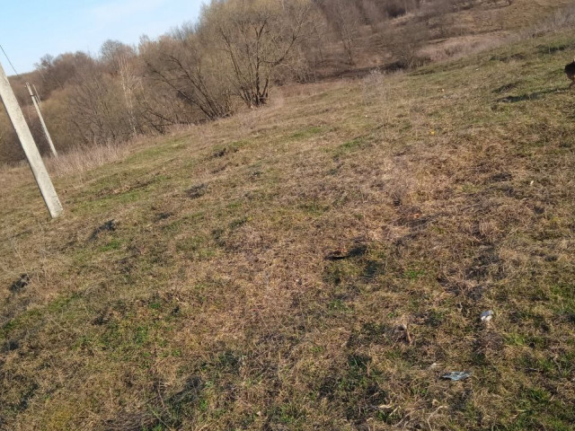 Обустройство детской площадки по адресу: Каменский район, д. Долгие Лески, напротив дома № 1а