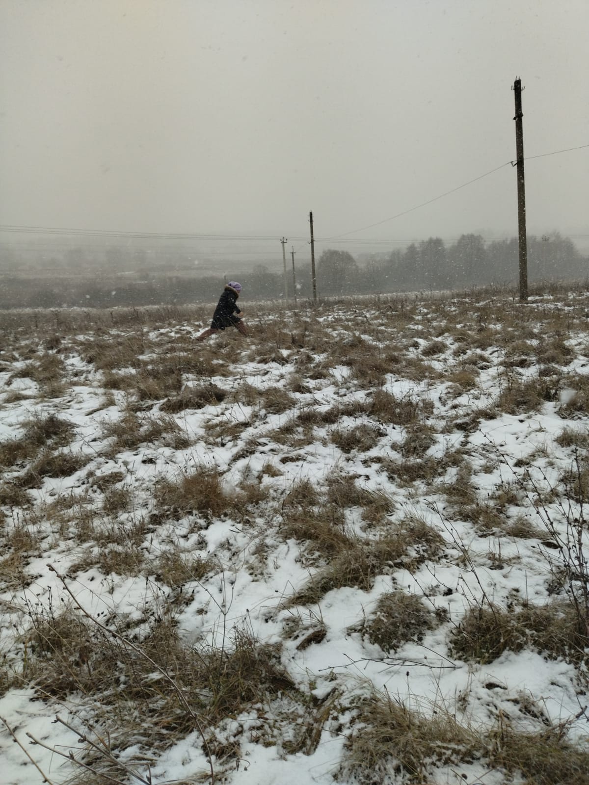 Обустройство спортивной площадки по адресу: Веневский район, д. Даровая, ул. Молодежная, вблизи д. 19