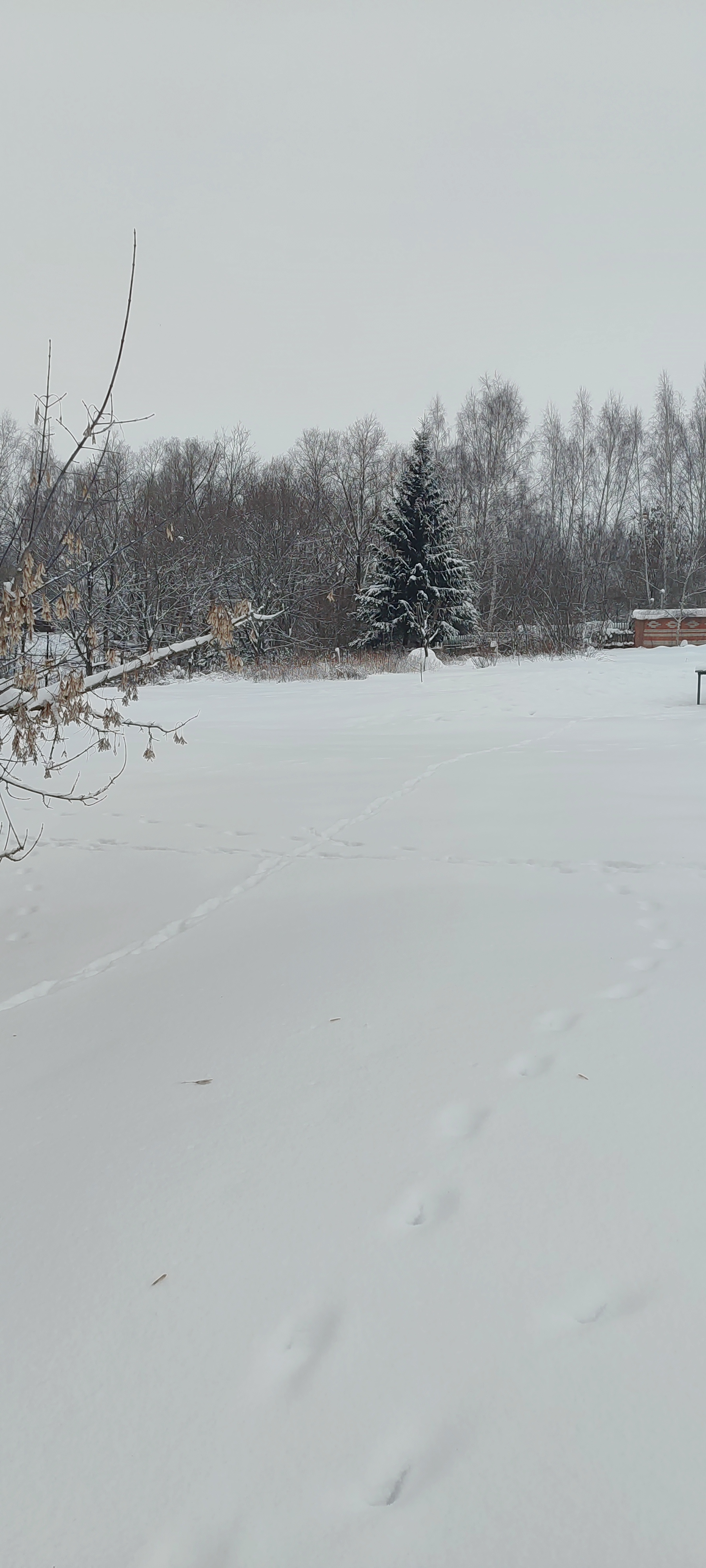 Общественное пространство N°3 по  адресу: Кимовский район, деревня Самочевка, западнее дома 10