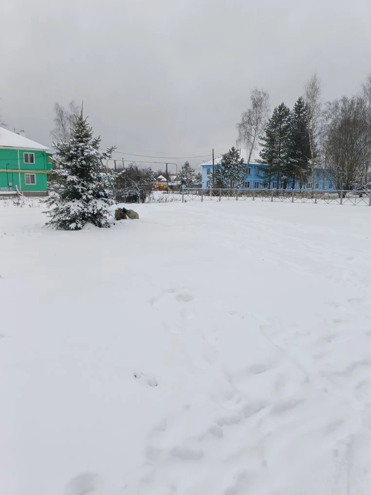 Обустройство спортивной площадки по адресу:  Веневский район, пос. Мордвес, ул. Садовая, вблизи дома № 2