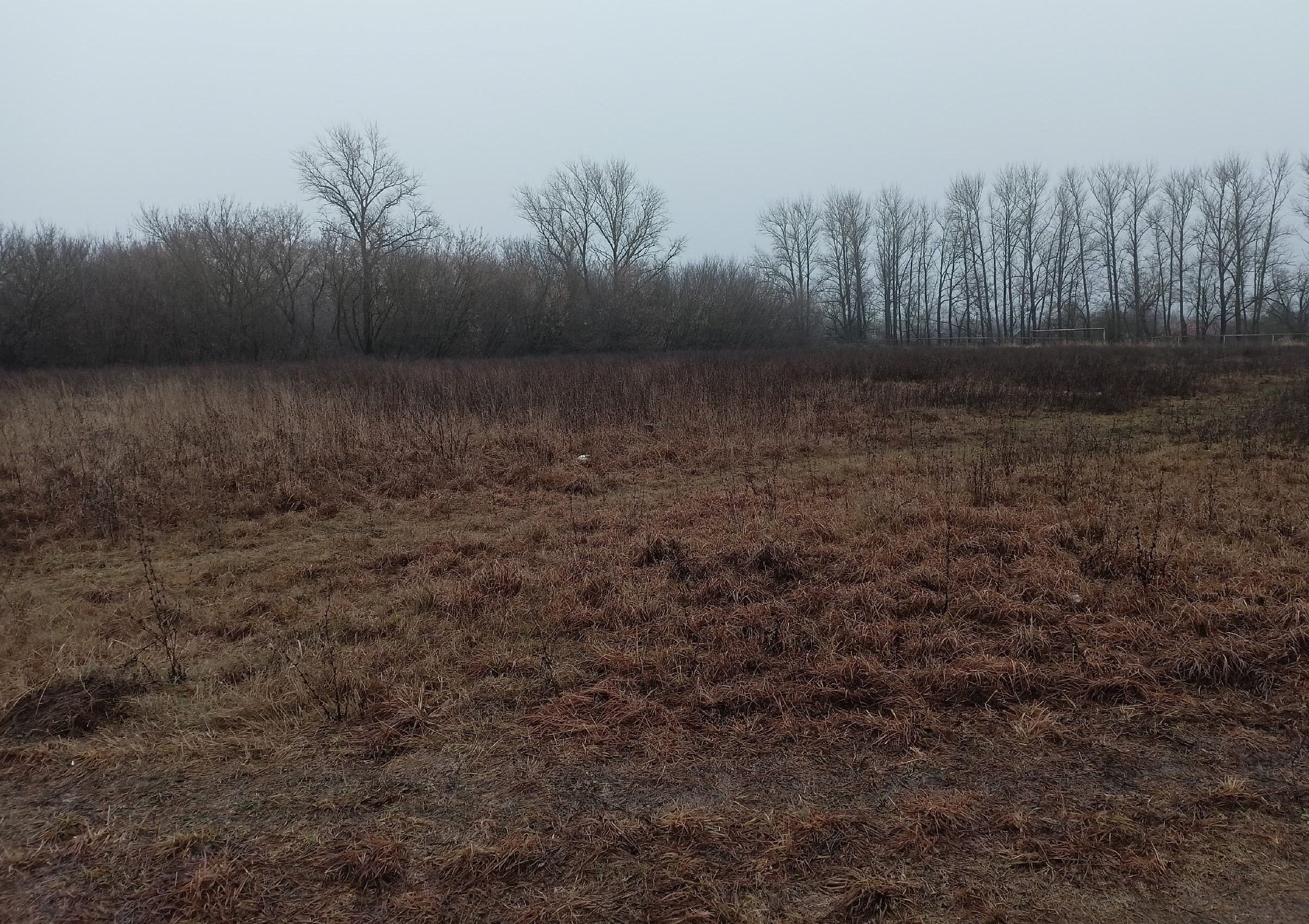 Обустройство спортивной площадки  ( воркаут и тренажеры) по адресу: Богородицкий район, пос.Товарковский, ул.Трудовая, территория за д.84 В