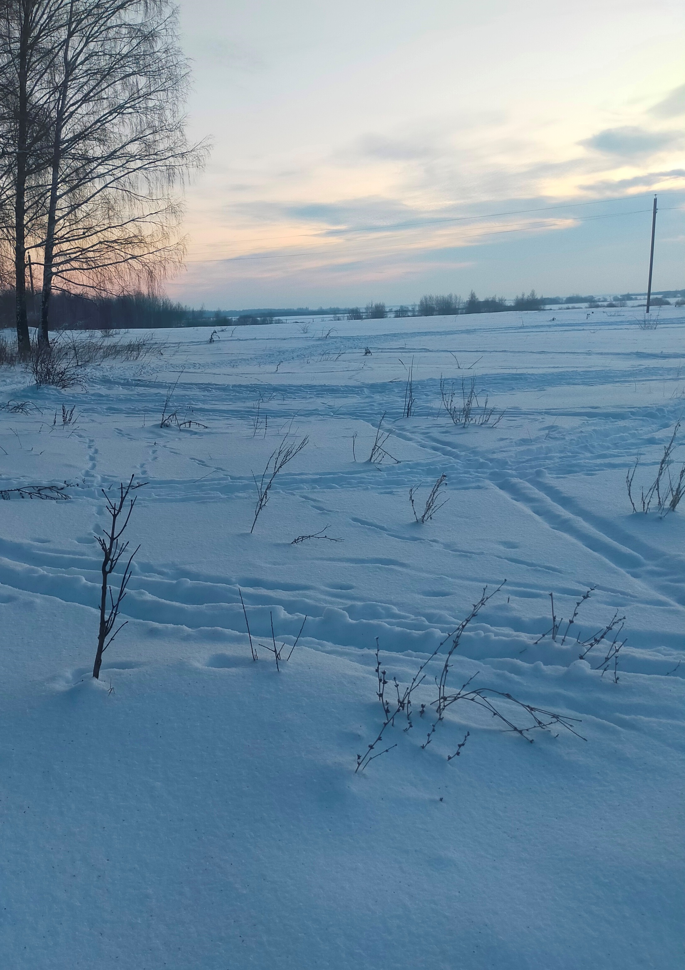 Обустройство спортивной площадки по адресу: Веневский район, п.Бельковский, ул.Школьная, вблизи д.5