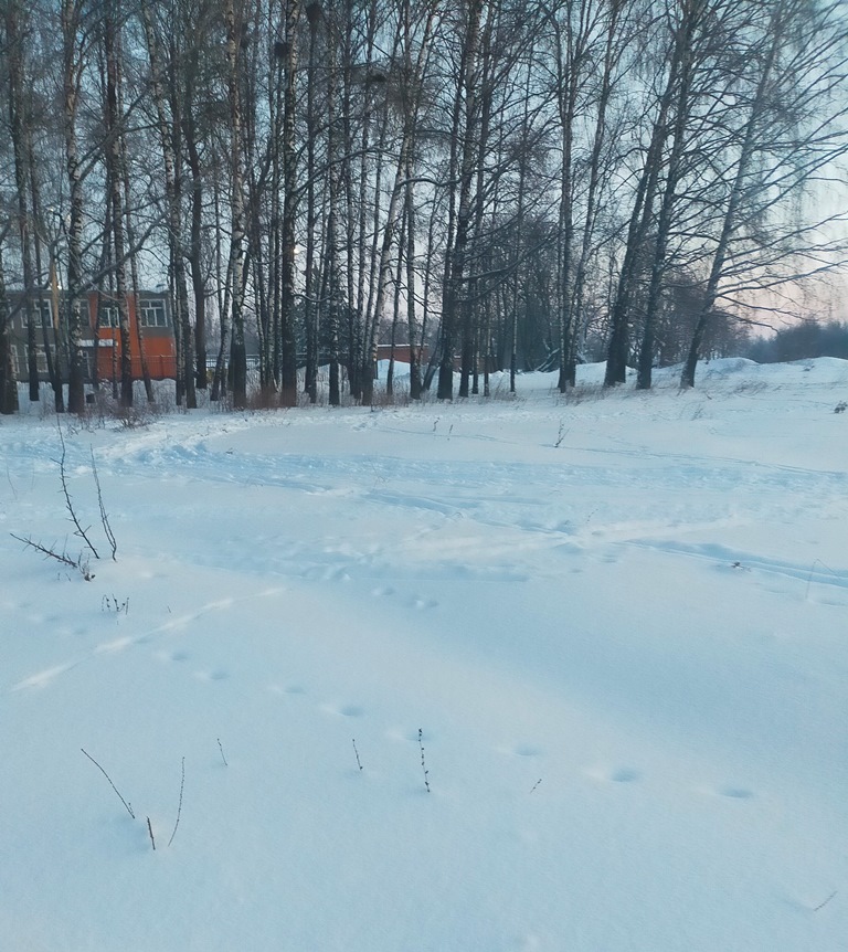 Обустройство спортивной площадки по адресу: Веневский район, п.Бельковский, ул.Школьная, вблизи д.5